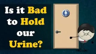 Is it Bad to Hold our Urine? + more videos | #aumsum #kids #science #education #children