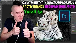 Как ОБЕСЦВЕТИТЬ (Сделать чёрно-белым) часть\полное ИЗОБРАЖЕНИЕ\ФОТО в Adobe Photoshop