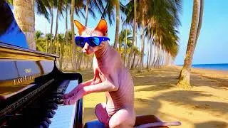 Egyptian Hairless Cat Playing The Piano