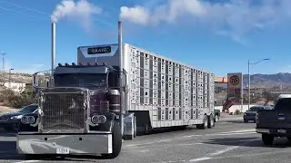 Truck Spotting USA, non-stop highway sights & sounds in Arizona, Peterbilt, Kenworth and others