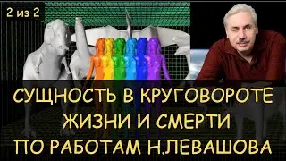 Сущность (душа) в круговороте жизни и смерти. Фильм по работам Николая Левашова студии Атакин 2 из 2