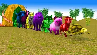 Paint & Animals Duck, Cow, Gorilla, Lion, cat, dog, Elephant, Fountain Crossing Turtle Cartoon Game