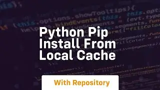 Python pip install from local cache