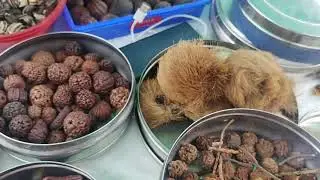 Beware of fake animal products being sold in Tirupati, infront of Padmavati temple,Alamelu Mangapura