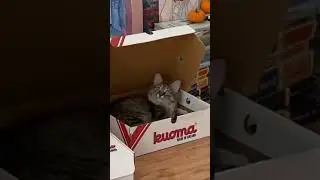 Все отбой