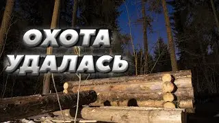 Проверили фотоловушку через месяц | ЛЕСНОЙ ДОМ | ЗЕМЛЯНКА | ИЗБА | FOREST HOUSE | DUGOUT | HUT