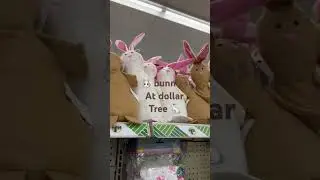 🐰 bunnies at dollar tree 🐇