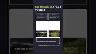 🚀 CSS Background: Fixed vs Scroll Explained! 🌟 HTML, JS, CSS3 Tips 🎨||#shorts #shortvideo #coding