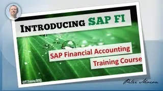 SAP FI CO - Financial Accounting Overview Course - SAP Training