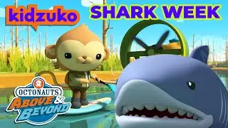 Octonauts: Above & Beyond - 🤿  Dicey Shark Chases 🦈 | Shark Week Compilation | @OctonautsandFriends​