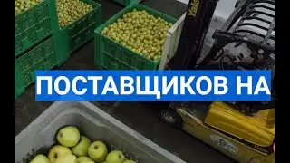 Самая надёжная схема опта для новичков в 2022