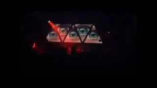 The wombats - Anti D