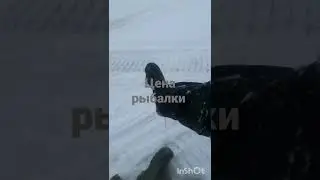 Съездили на рыбалку !