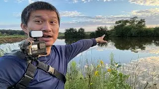 Neighborhood Pond Hides Big Bass! #fishing #bassfishing #largemouth