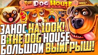 ВЫБИВАЮ ДОРОГИЕ БОНУСКИ В СОБАКАХ | ALL IN В DOG HOUSE | ЗАНОСЫ!