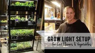 Quick Look at my Budget Friendly Grow Light Setup for Cut Flowers & Vegetables