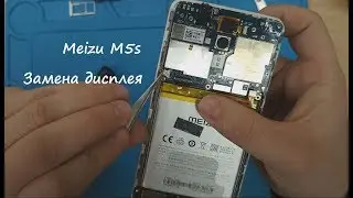 Meizu M5s Замена дисплея