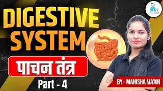 Digestive System part - 4 | पाचन तंत्र | Anatomy & Physiology by Manisha Ma'am