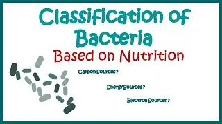 Classification of bacteria based on nutrition I Nutritional classification of bacteria | 
