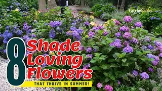 TOP 8 Shade-Loving Flowers That THRIVE in Summer!🌞🌻🌷 // Gardening Ideas