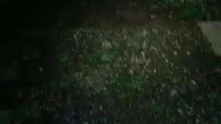 ada yg aneh
