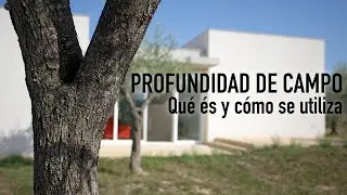 Qué es y cómo utilizar la profundidad de campo