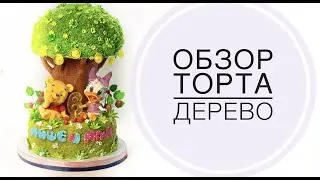 Обзор торта Дерево на облегчённом каркасе . Танинторт.