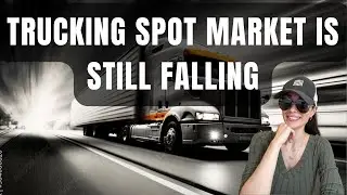 Trucking and Freight Market August 28, 2024: Spot Market In Free Fall