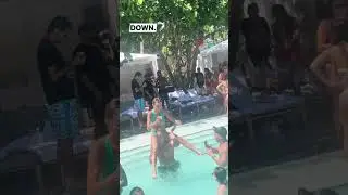 Chicken fights are not allowed at Miami pool parties! 🐓 