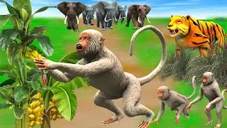 मुर्ख बंदर को मिला केला का पेड़ बाघ आया Murkh Bandar Kela Ka Ped aur Bagh Ki Kahani Monkey and Tiger