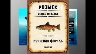 Мутанты рр3. Ручьевая форель рр3. Рыбхоз.