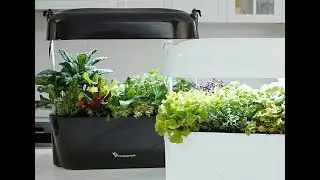 Vegepod Kitchen Garden Product Explainer