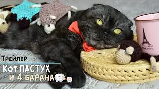 Кот - пастух и 4 барана амигуруми 🐑 | 🐑 Развлекательное видео