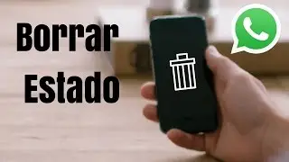 Cómo borrar un estado de Whatsapp