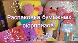 ✨РАСПАКОВКА НОВЫХ БУМАЖНЫХ СЮРПРИЗОВ?!🎁Милка и Роза/Таня ди ай вай