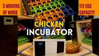 Building a Chicken Incubator: From Concept to Creation.