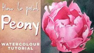 How to paint a Pink Peony - Watercolour tutorial