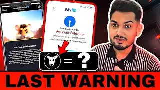 Hamster Kombat Withdrawal Warning | DOGS Airdrop Kitna Paisa Milega? CARV Binance Airdrop