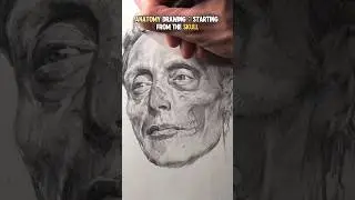 ANATOMY DRAWING: STARTING FROM THE SKULL#anatomy #art #portraitdrawing