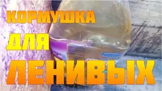 Кормушка для бджіл 🐝Бюджетній варіант пластикової пляшки🐝Кормушки для пчел  подручных материалов