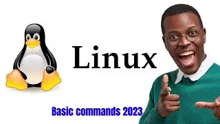 Essential Linux Commands for Absolute Beginners in 2023 | Your Gateway to Linux Mastery