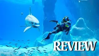 Marine Biologist Reviews Endless Ocean Luminous | Nintendo Switch