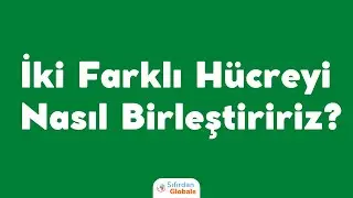 Google Sheets İki Farklı Hücre Nasıl Birleştirilir?