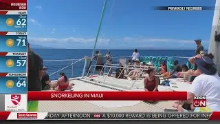 Maui travel tips: What you should know before you go