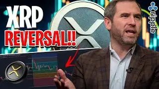 Ripple XRP News - BOOM! XRP REVERSAL INCOMING! XRP SUMMER TARGETS + IMPORTANT LEVELS TO HOLD!