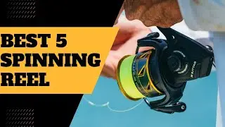 Best 5 Spinning Reel ( Top 5 Spinning Reel ) Review and Price