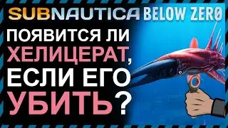 Subnautica BELOW ZERO ПОЯВИТСЯ ЛИ ХЕЛИЦЕРАТ ЕСЛИ ЕГО УБИТЬ