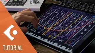 Audio Unit Full-Screen and ROLI NOISE Seaboard Support in Cubasis 2.6 | New Features in Cubasis 2