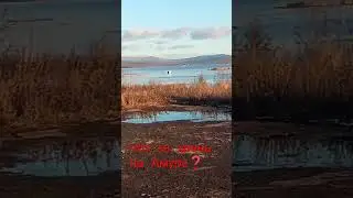 Что за хрень на Амуре? Кто в курсе?