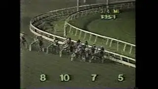 1987 Meadowlands - Wondersam & William O'Donnell